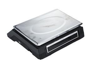 208 Precision Balance Price Computing Scale