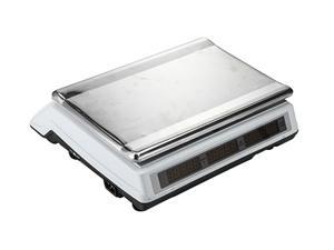 3209 Precision Balance Price Computing Retail Scale