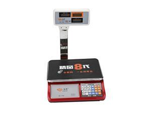 779D Price Computing Precision Retail Scale