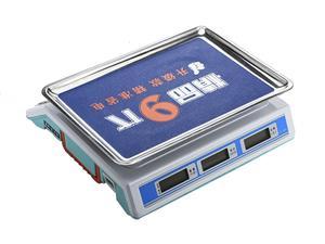 825 Industrial Price Computing Scale